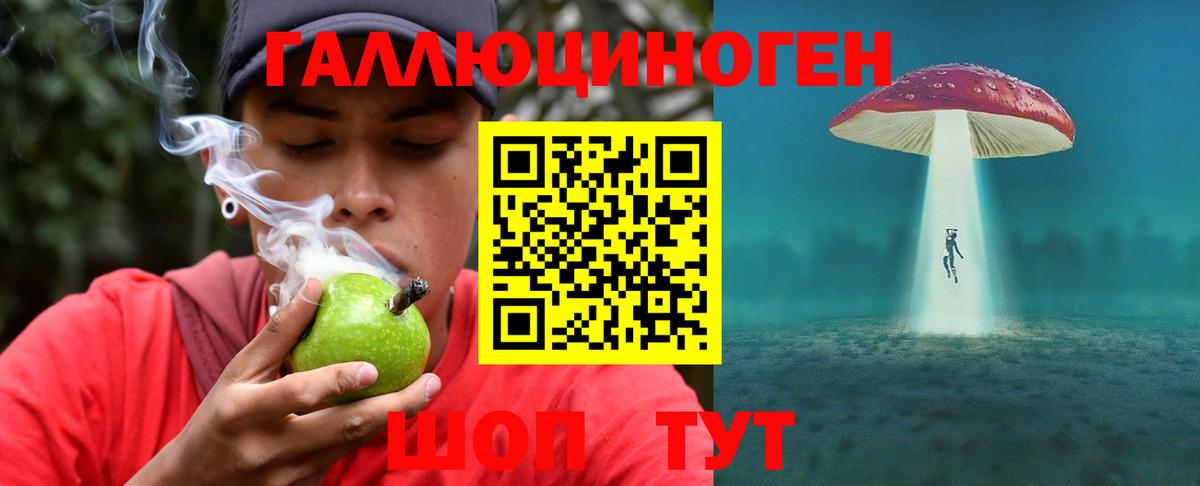 Арсеньев  Псилоцибиновые грибы мухоморы  даркнет сайт  Вход с VPN 